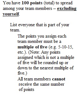 Individual Team Member Evaluation Form